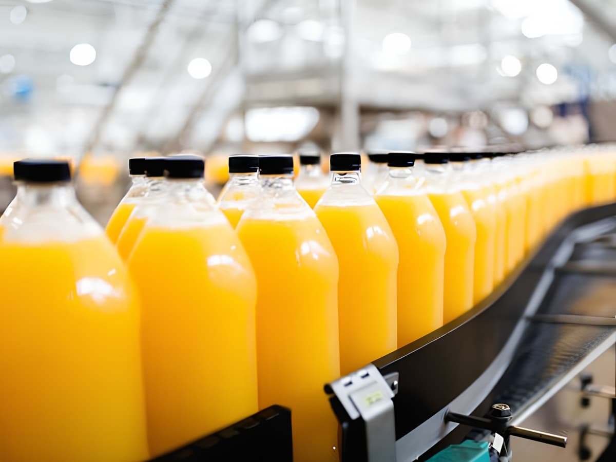 Turnkey Juice Processing & Bottling Plant